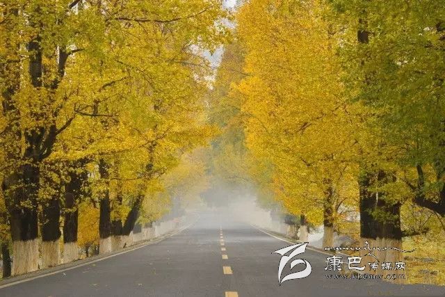 康定新都橋，有一條黃金大道通往夢(mèng)中的天堂